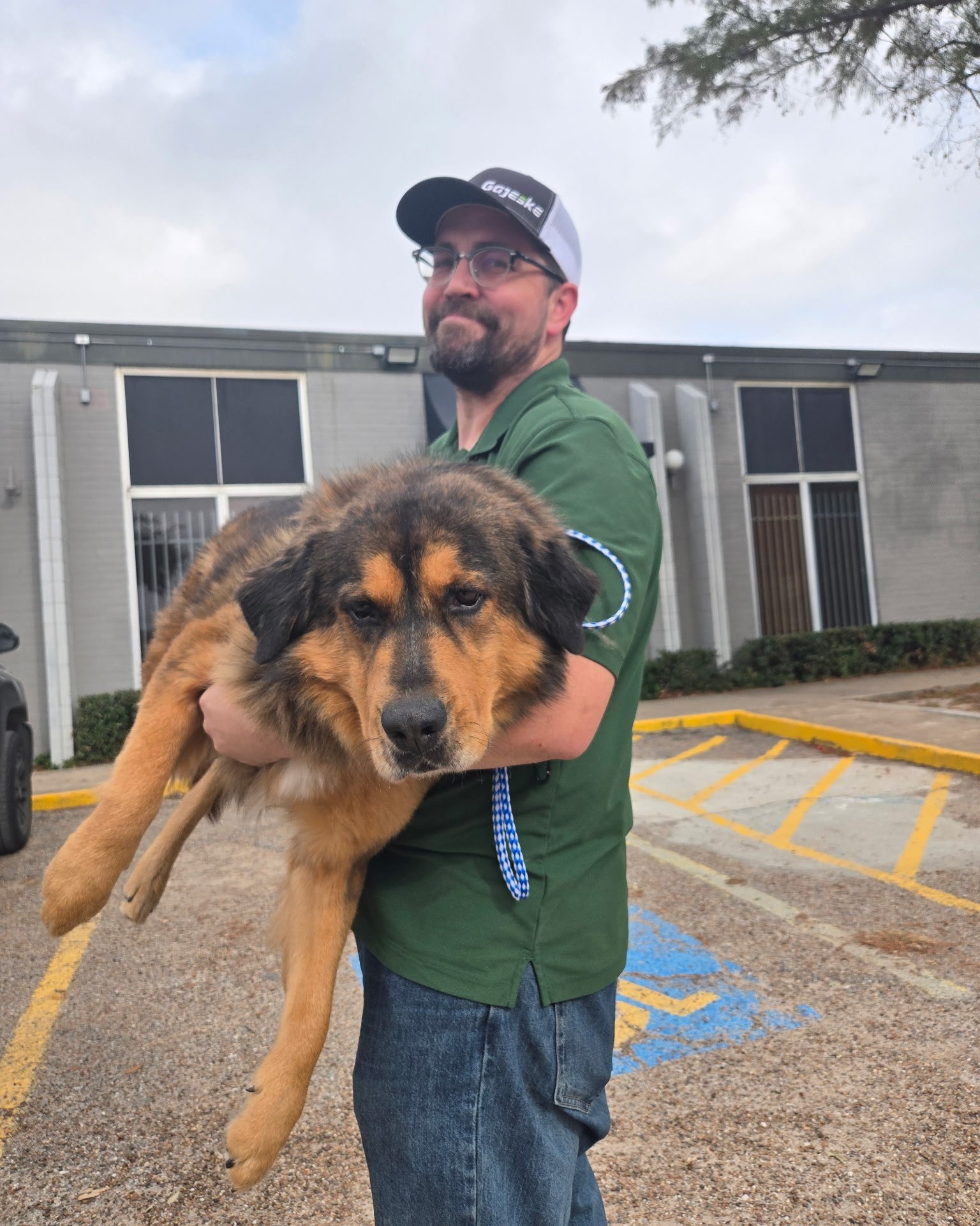Operation Pets Alive Facebook ad: Meet Bruno!