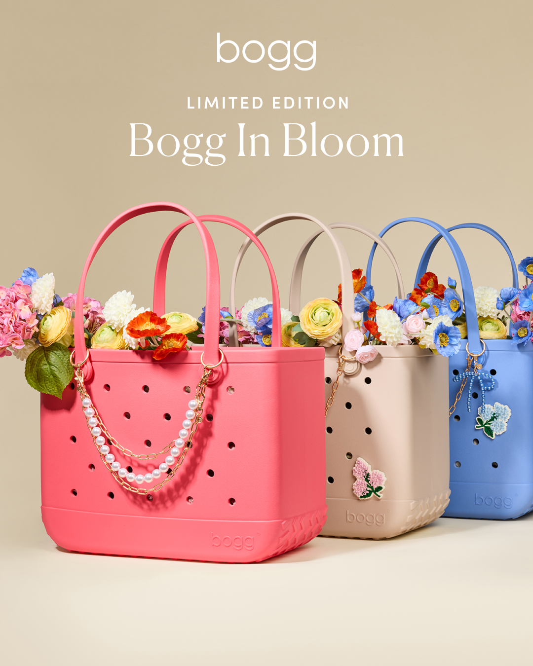 Bogg Bag Facebook ad