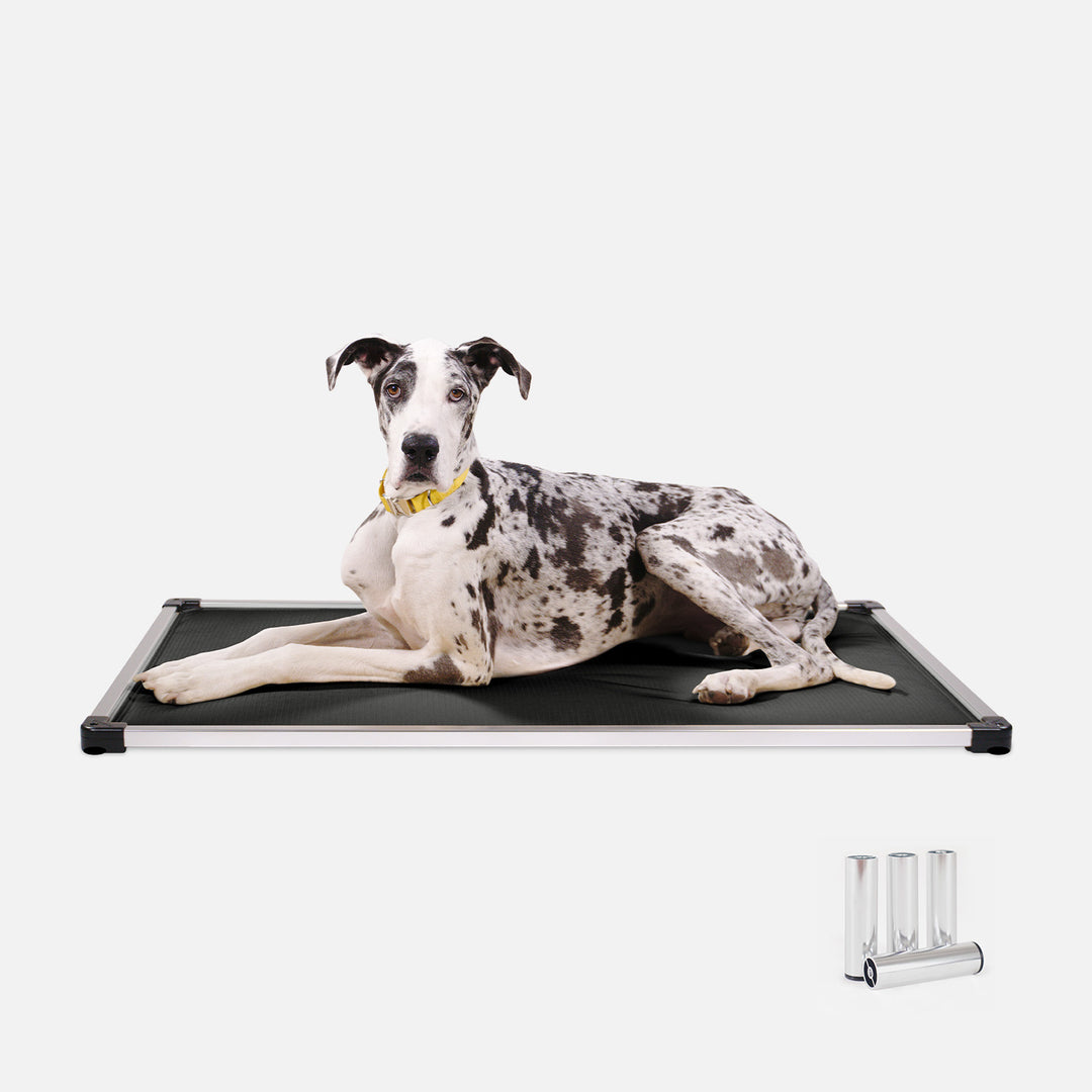 K9 Ballistics Dog Beds Facebook ad