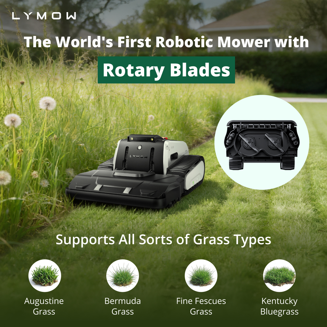 LYMOW Facebook ad: Lymow One Plus