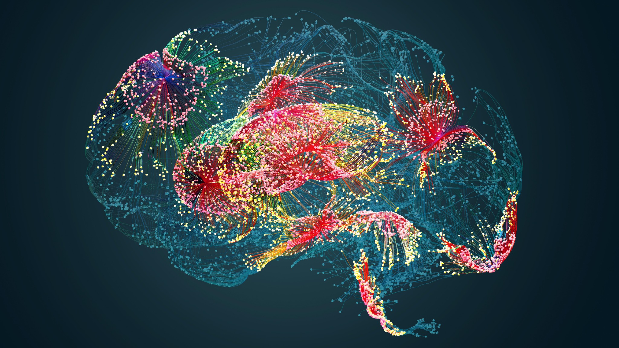 Nature Partnerships Facebook ad: A ‘light-bulb moment’ in cancer research