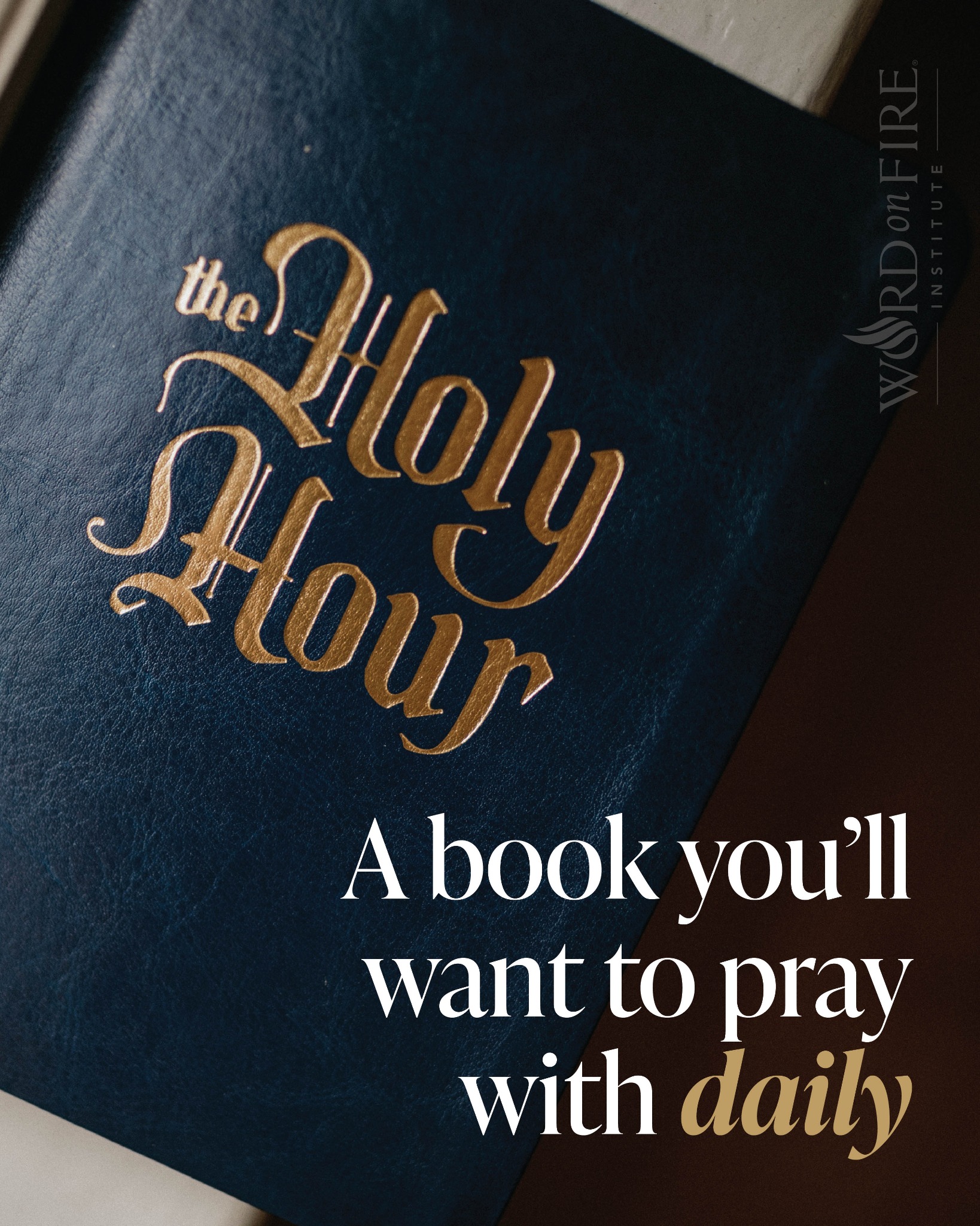 Bishop Robert Barron Facebook ad