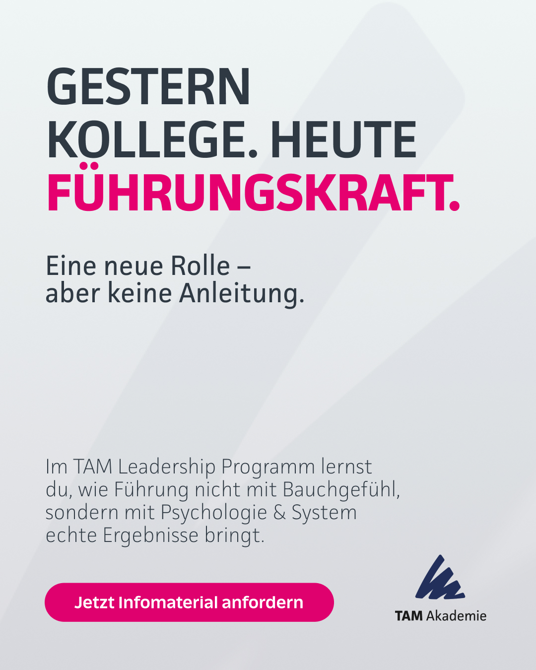 TAM Akademie Facebook ad