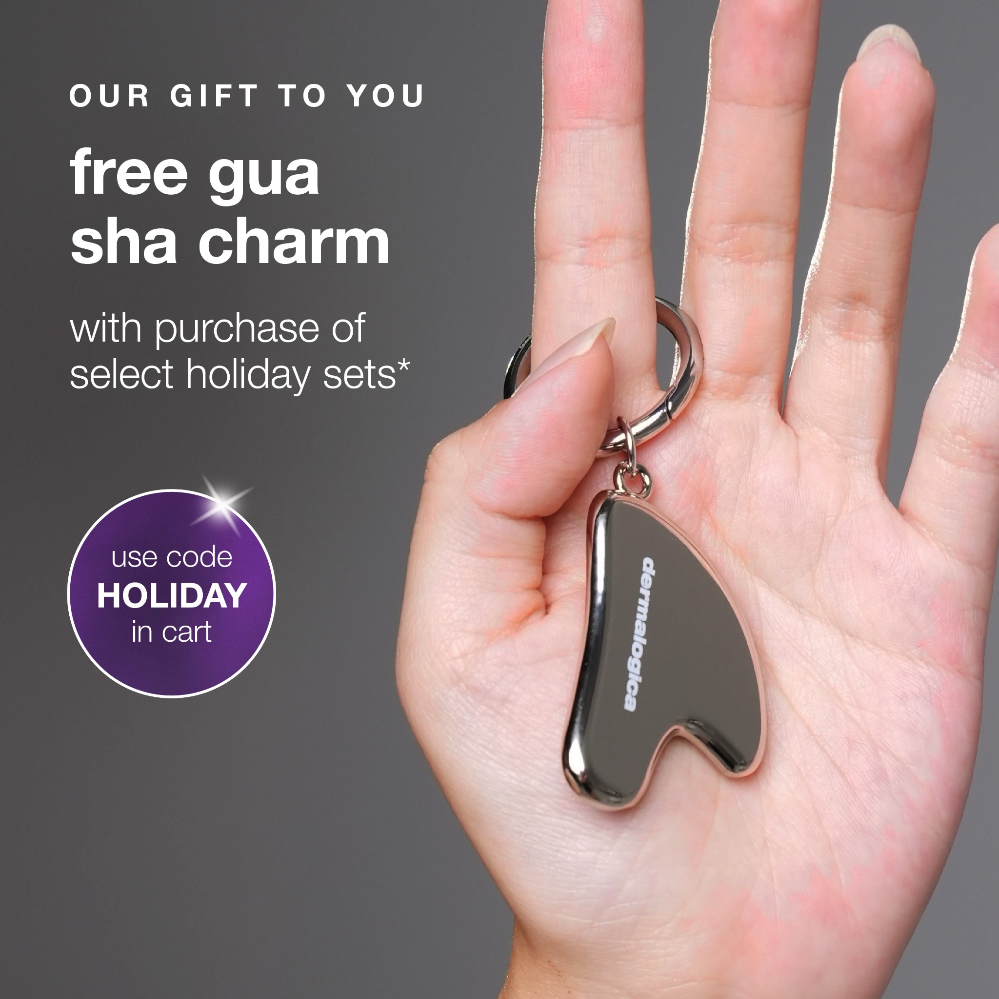 Dermalogica Facebook ad: Limited-Edition Holiday Sets