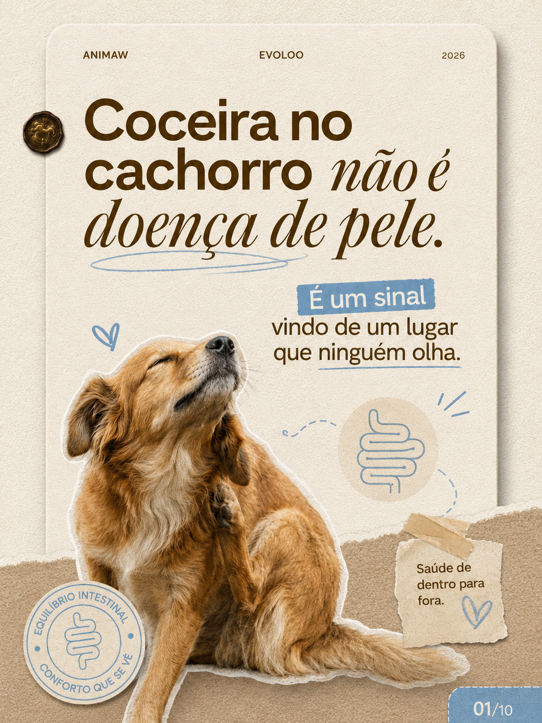 Animaw Suplementos Facebook ad: A coceira começa no intestino
