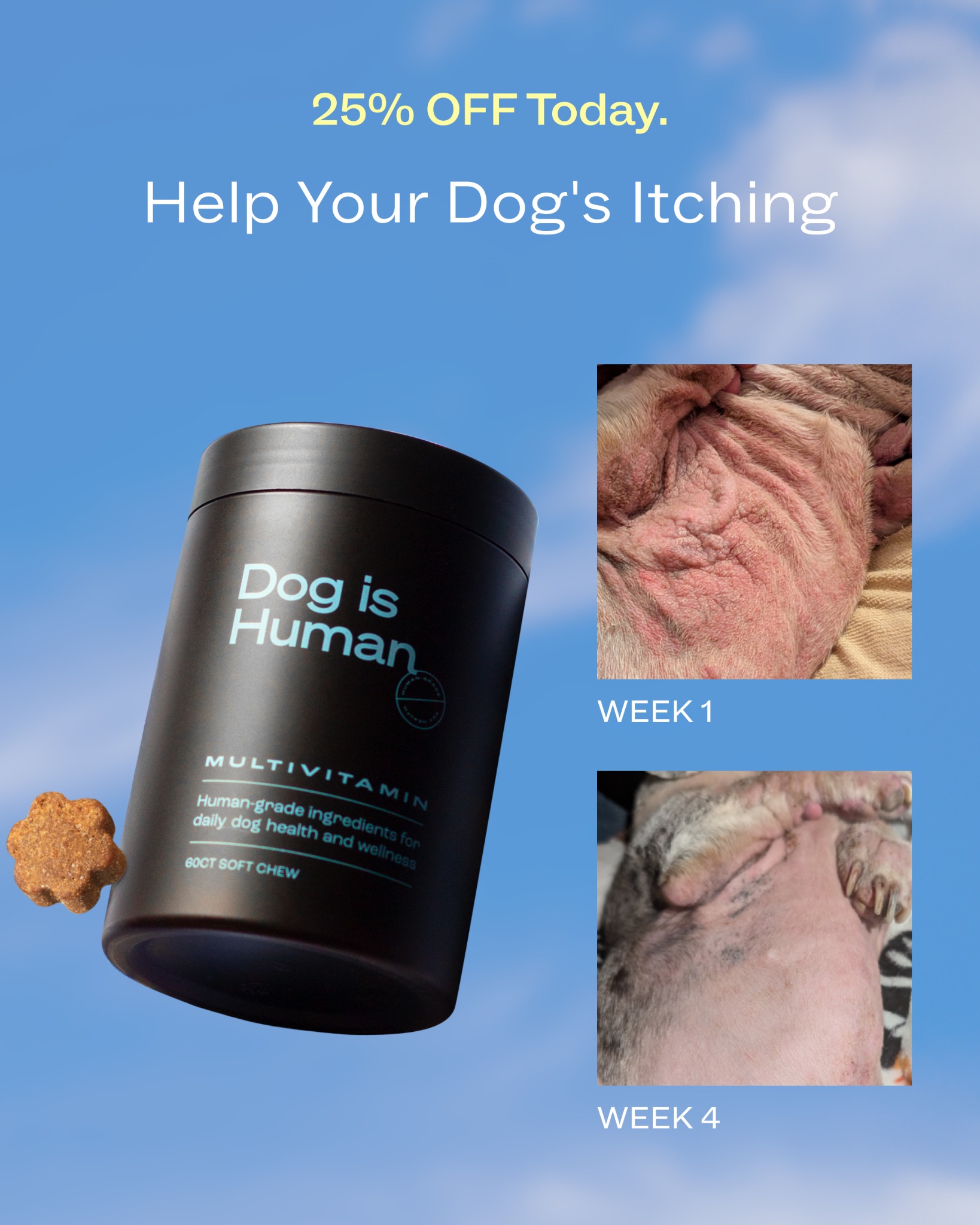 Dog is Human Facebook ad