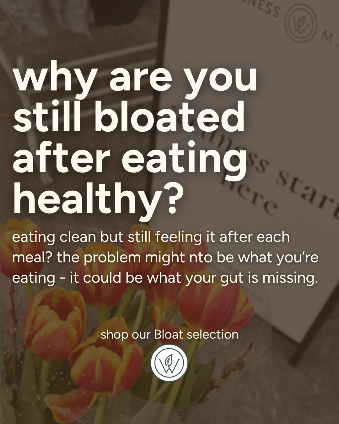 Wellness Market Facebook ad: Shop digestive support