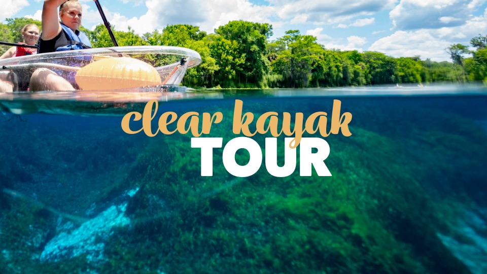 Ichetucknee Springs State Park Facebook ad: Guided Clear Kayak Tour at Ichetucknee Springs State Park!