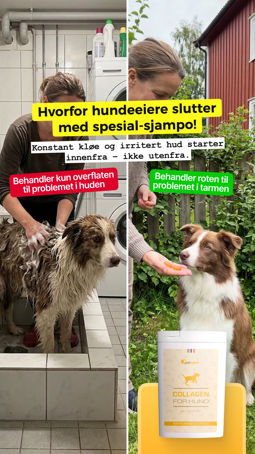 Collagen for hund Facebook ad: Prøv Collagen For Hund gratis!