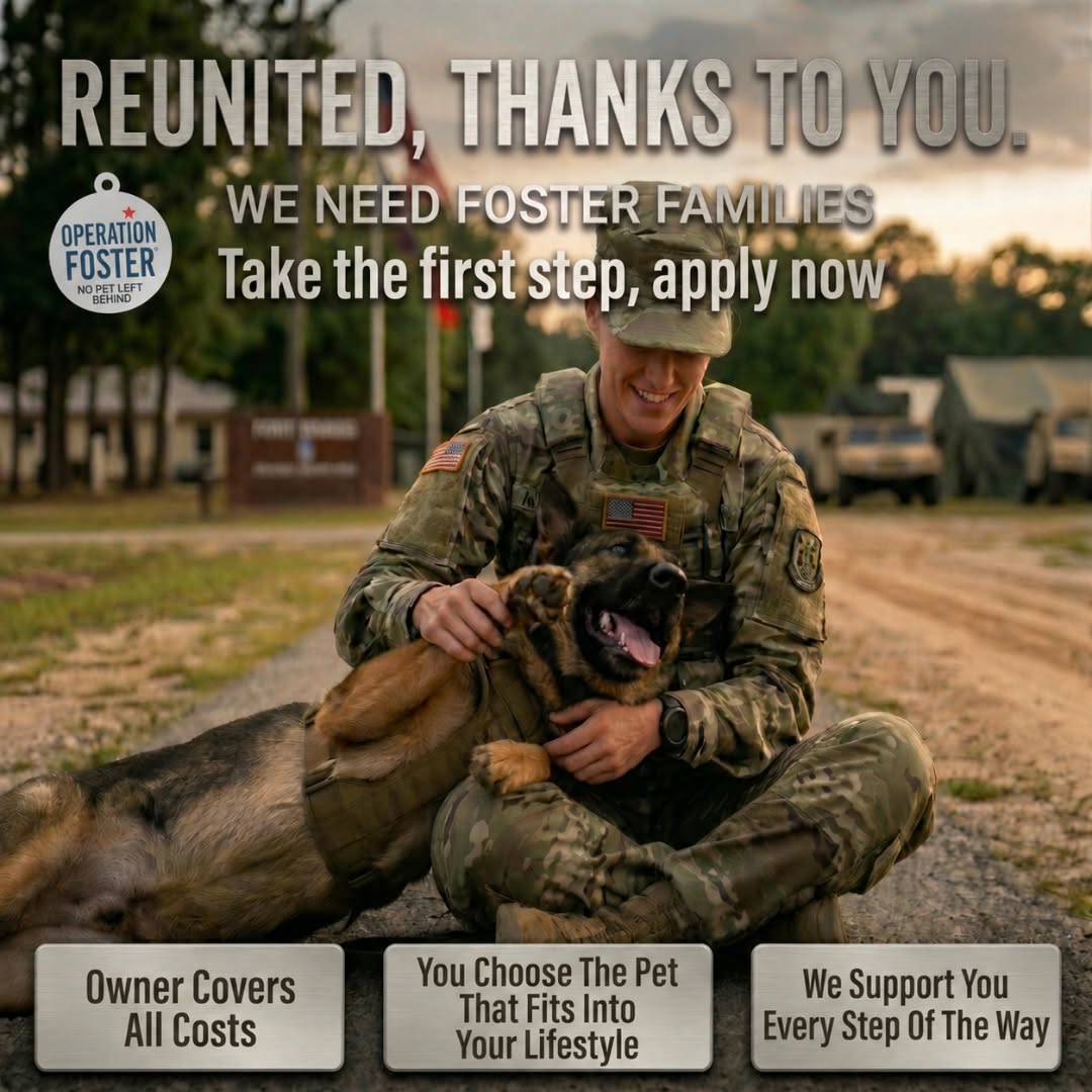 Operation Foster Facebook ad: Become a Foster Today