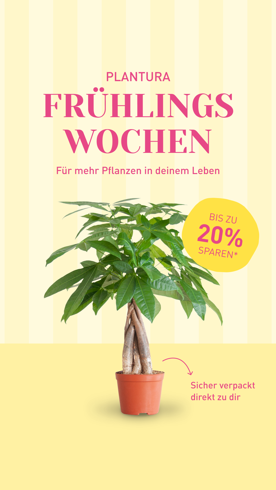 Plantura Facebook ad