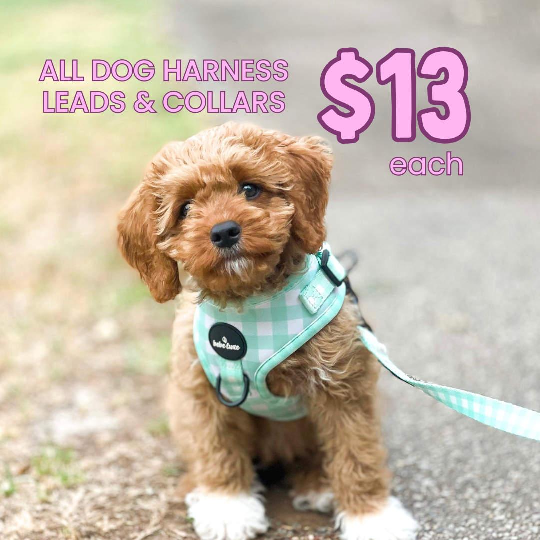 Bebe luxe Facebook ad: All Dog Accessories Just $13 Each