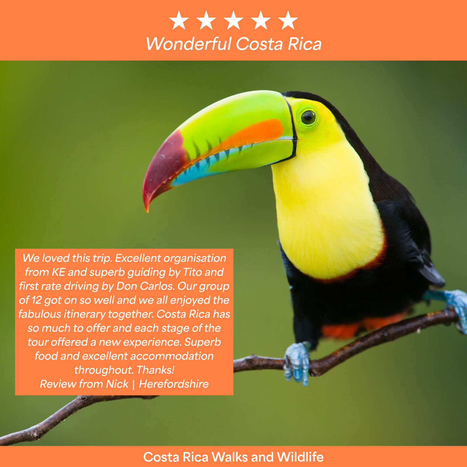 KE Adventure Facebook ad: Rainforests, volcanoes and incredible wildlife await. Your…