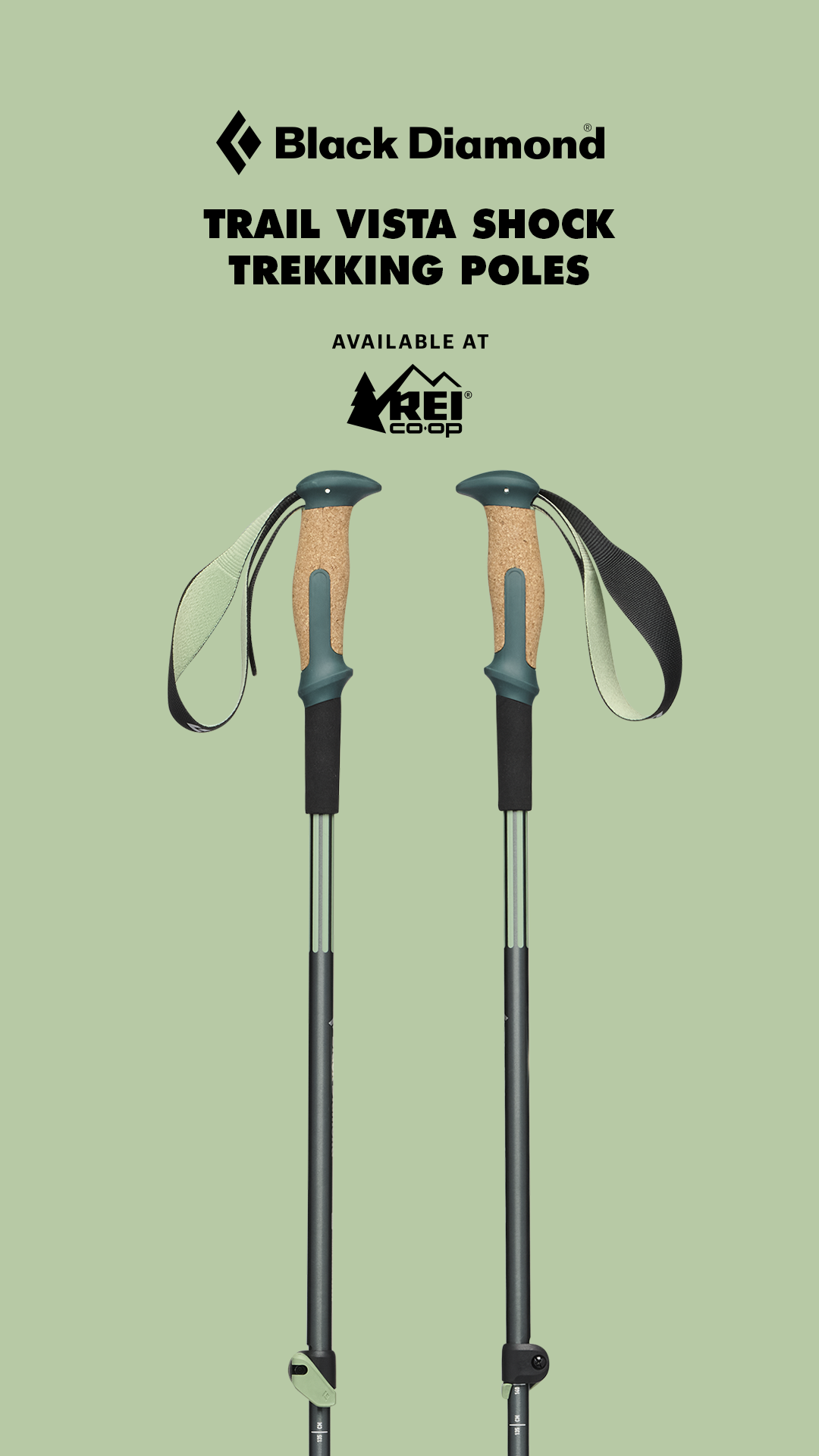 REI Facebook ad