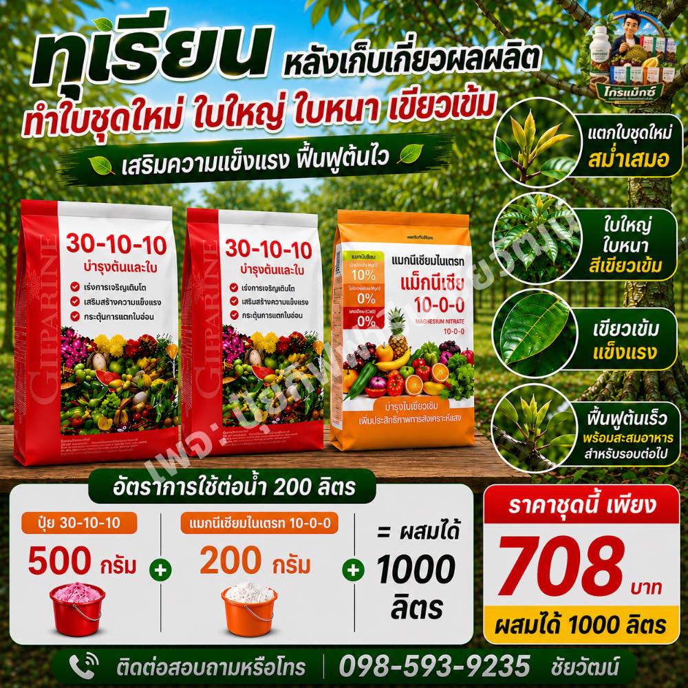 ปุ๋ยกิฟฟารีน คุณชัยวัฒน์ 0985939235 Facebook ad