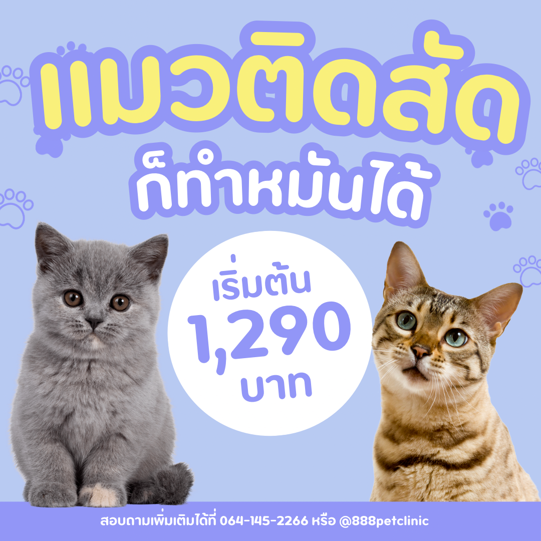 888 Pet Clinic Facebook ad