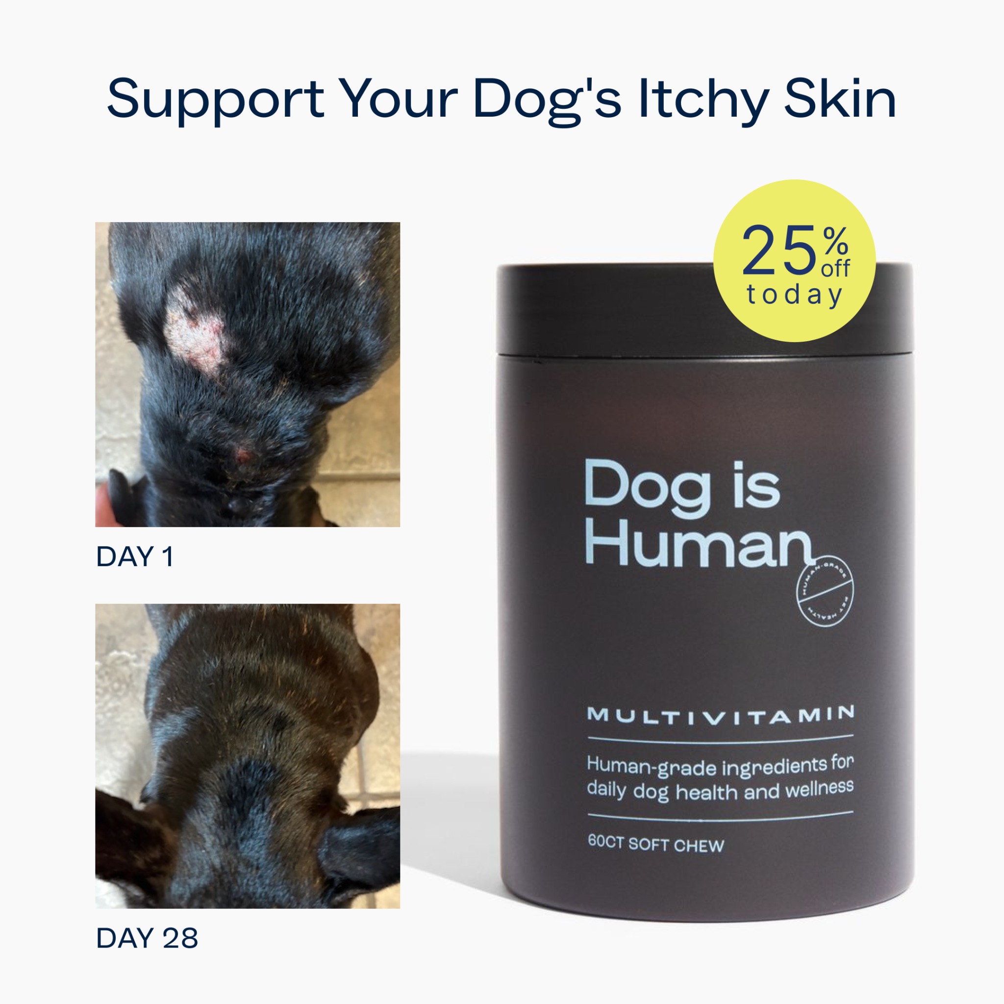 Dog is Human Facebook ad
