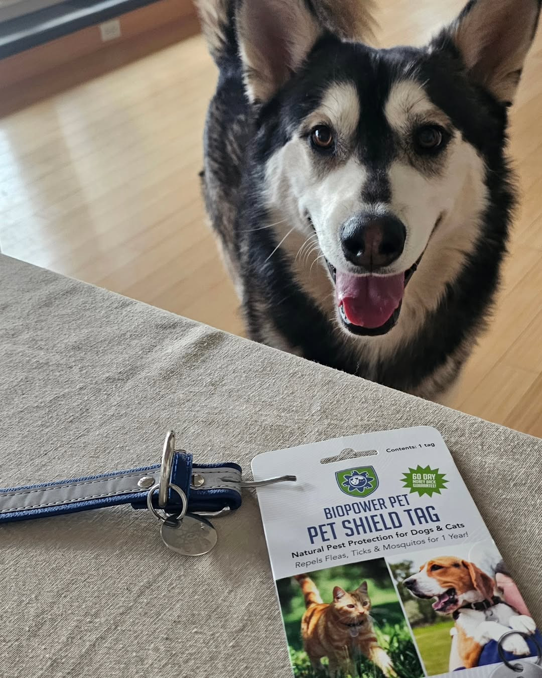 BioPower Pet Facebook ad