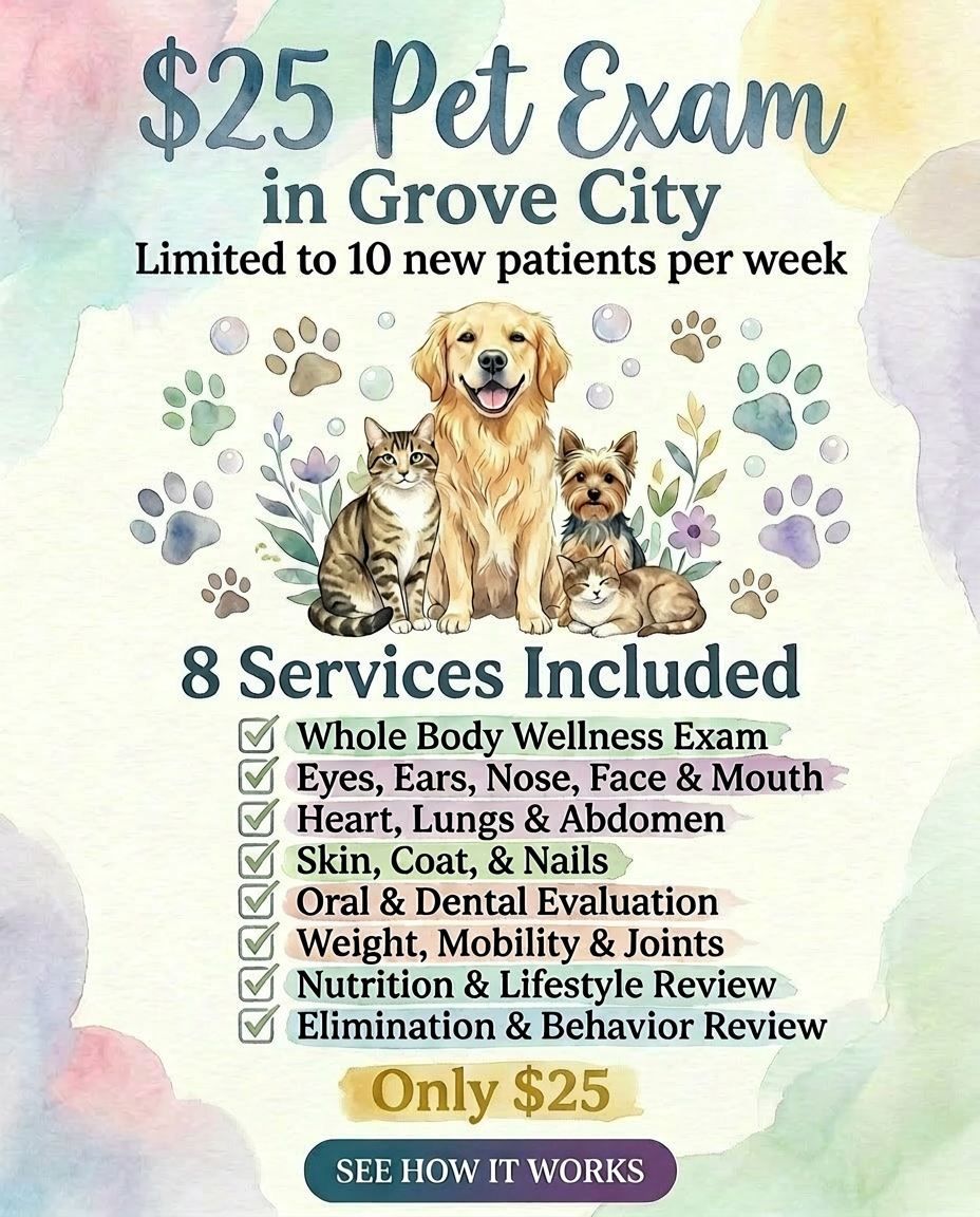 Stringtown Animal Hospital Facebook ad: Grove Grove City Pet Exam for $25