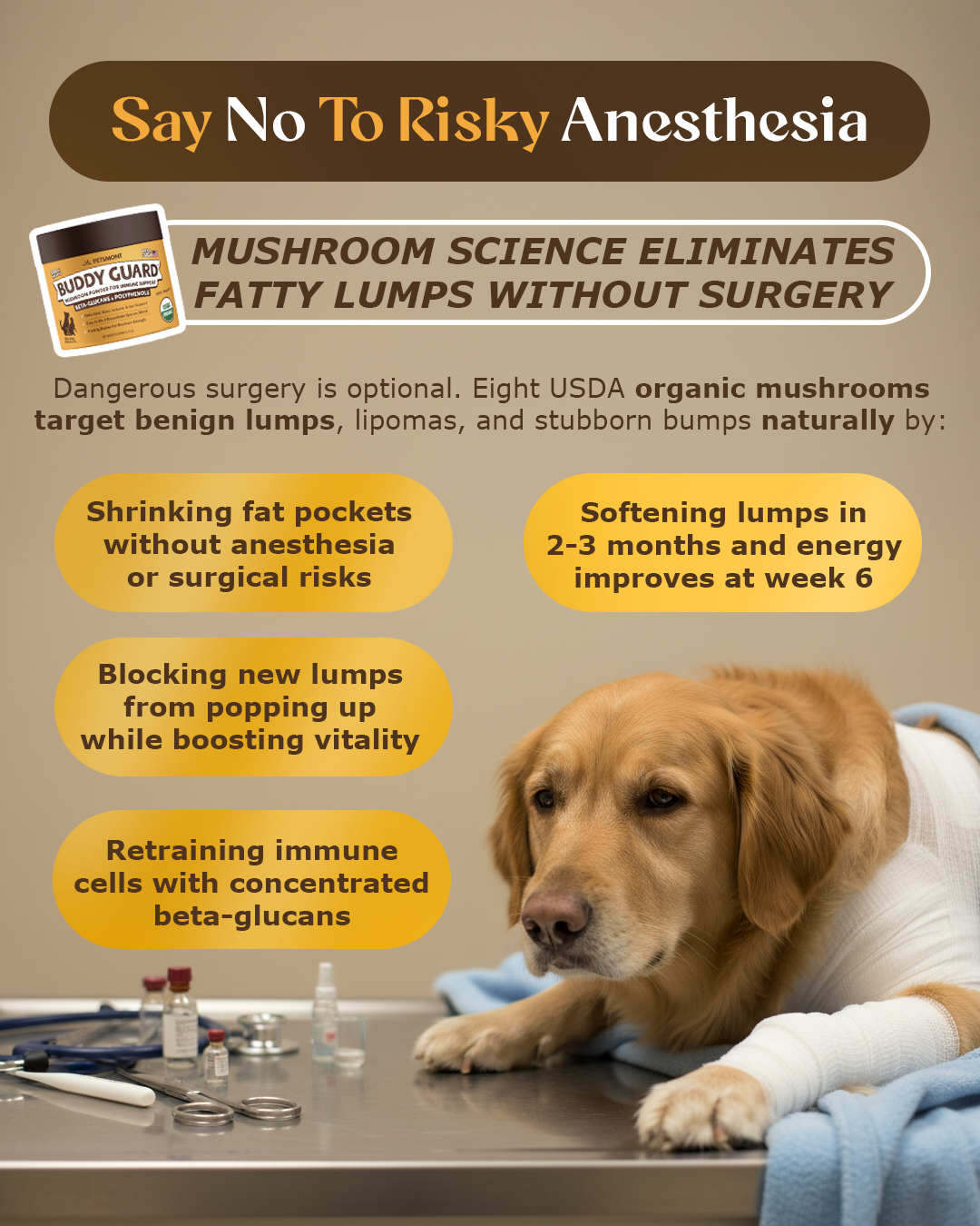 Petsmont Facebook ad