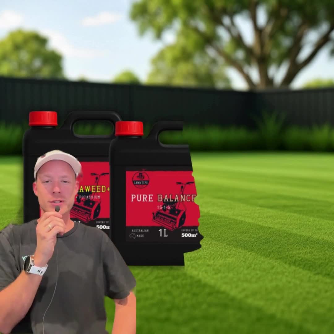 Lawn Tips Facebook ad from Jun 2, 2025
