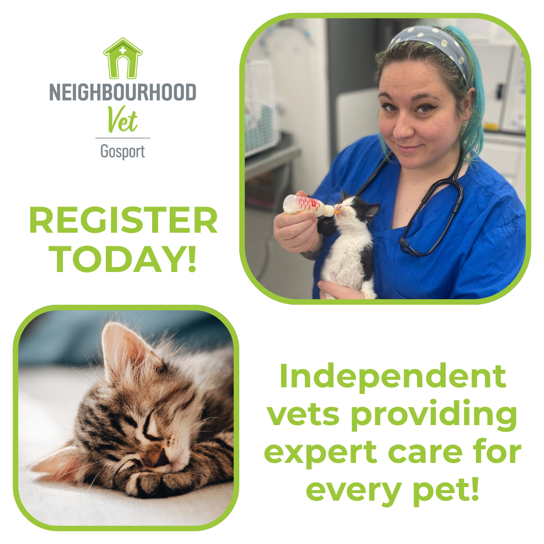 Neighbourhood Vet Gosport Facebook ad