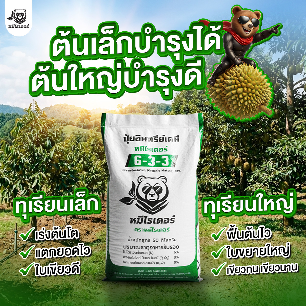 ปุ๋ยหมีไรเดอร์ สูตรเด็ดเกษตรกรตัวจริง Facebook ad