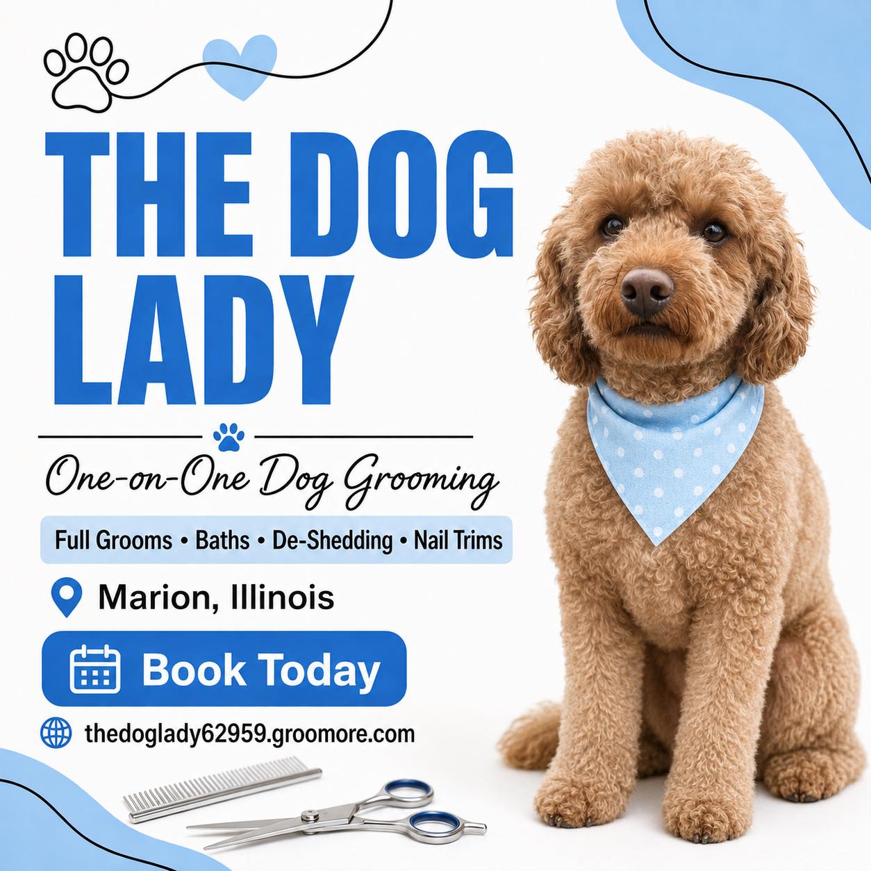The Dog Lady: Marion Il Pet Services Facebook ad: The Dog Lady Online Booking