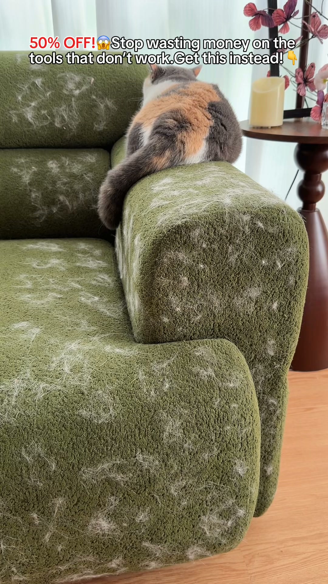 Stride Paws Facebook ad: Best Grooming Deal You’ll Find