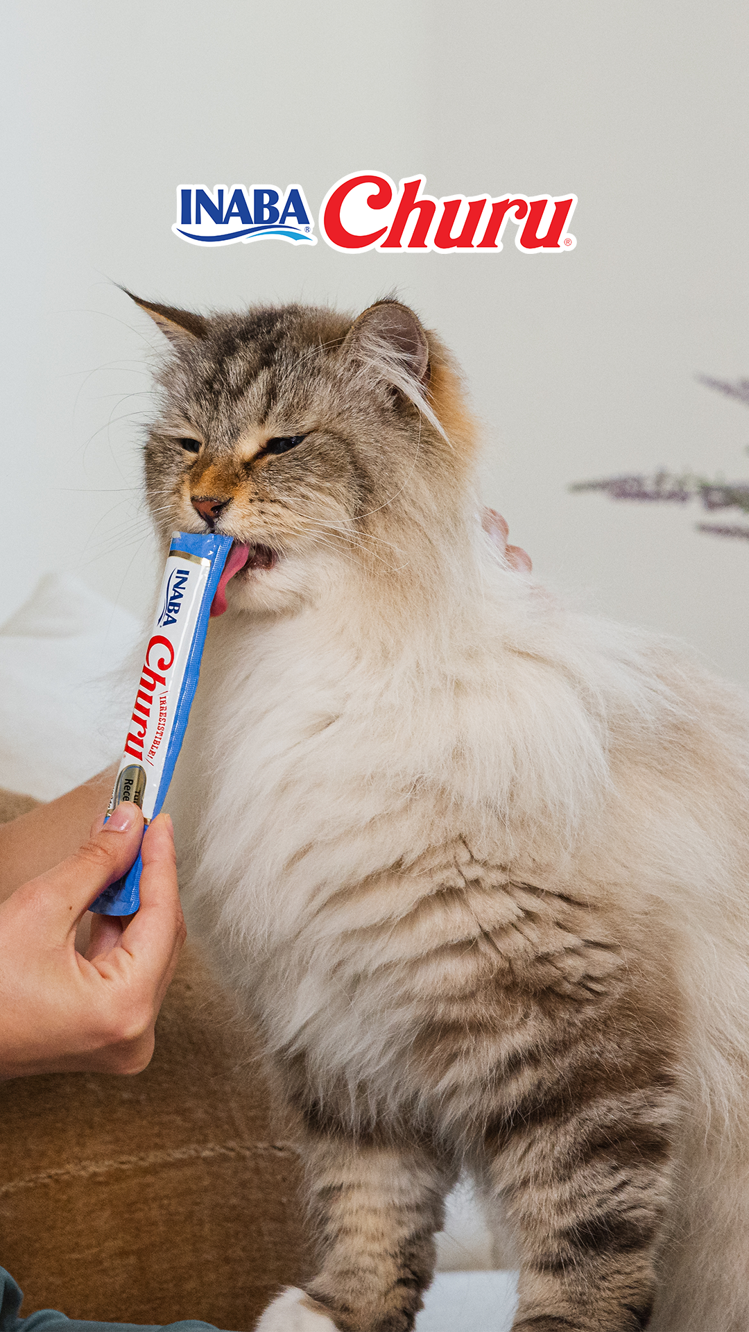 Petco Facebook ad
