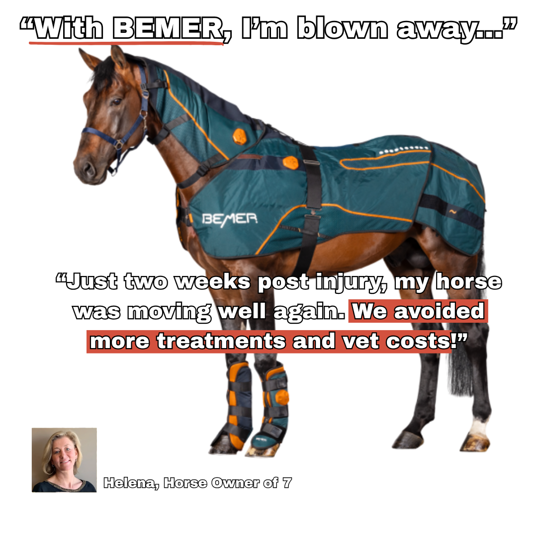 Boost Horse Circulation Facebook ad