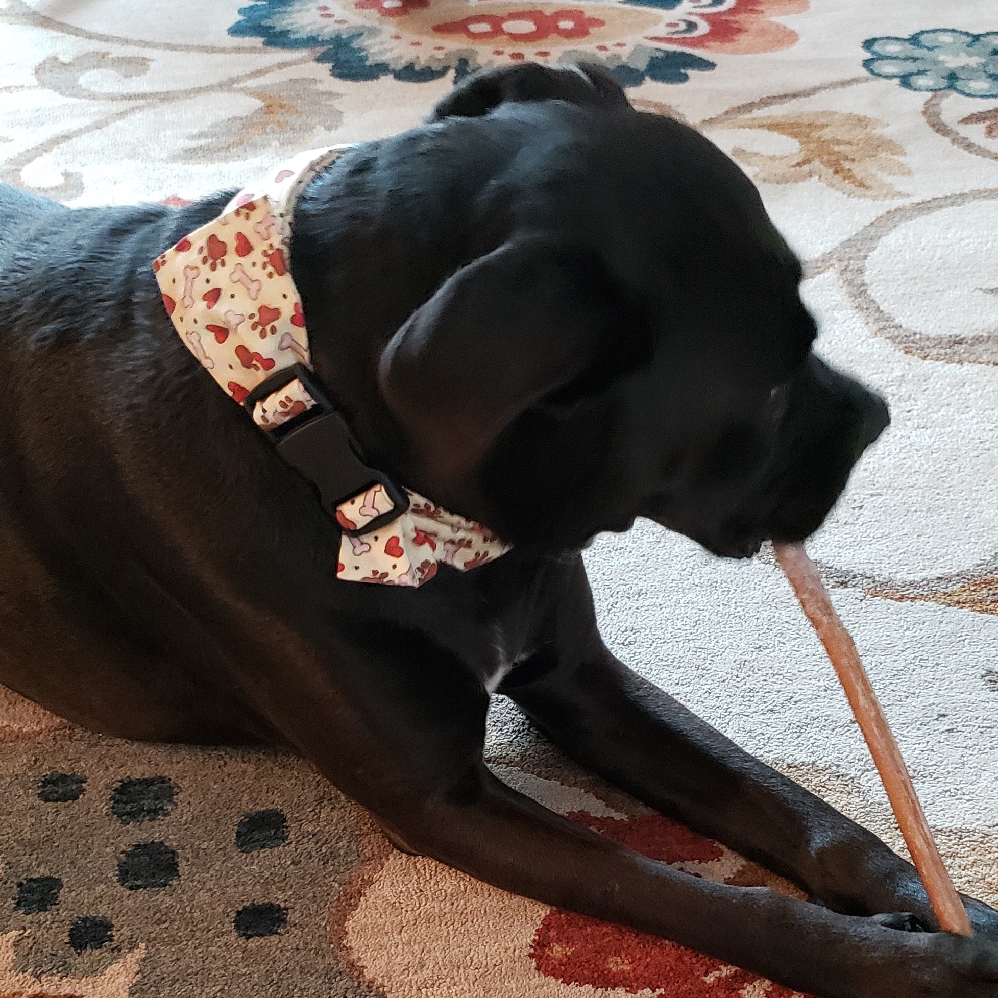 Calming Collars Facebook ad: They work, naturally!