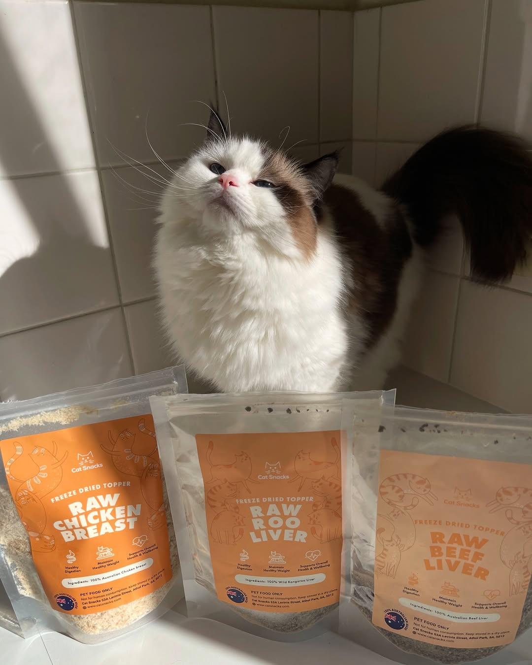 Cat Snacks Facebook ad