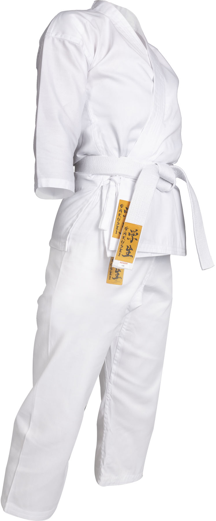 Hayashi Martial Arts Facebook ad