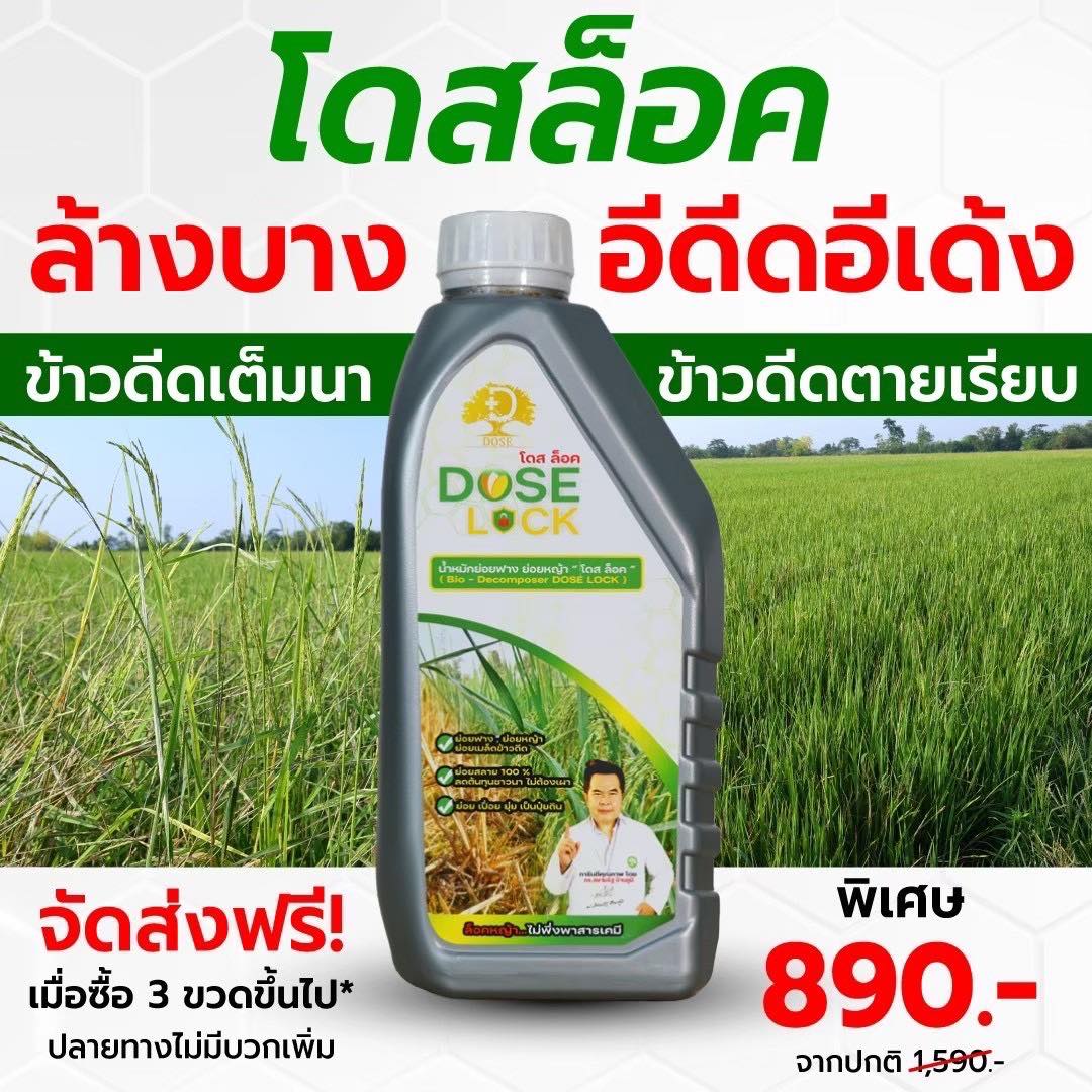 Dose Thailand โดส ไทยแลนด์ Facebook ad: โดส ล็อค ตัวช่วยกำจัดข้าวดีดแบบอยู่หมัด!