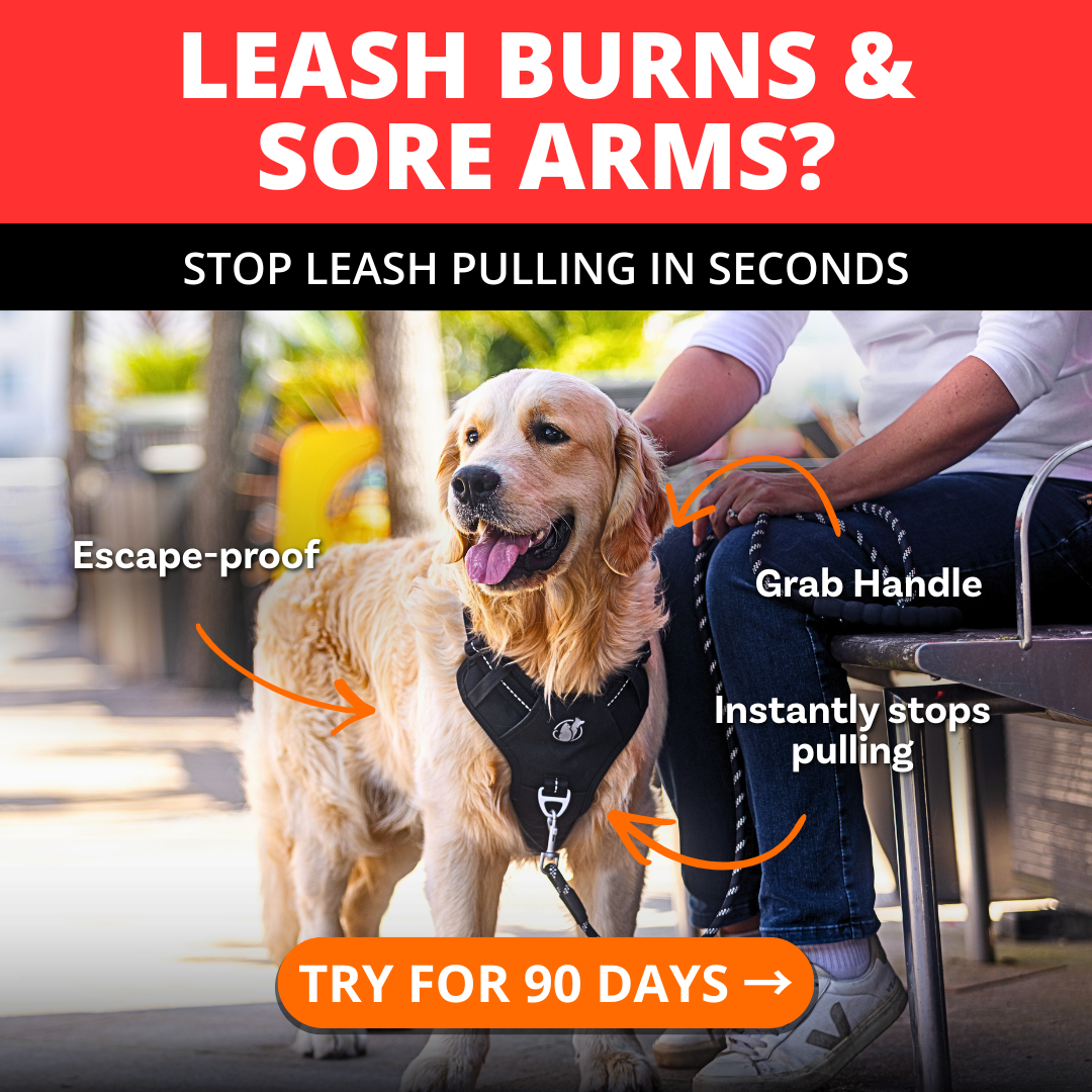 PawSafe Facebook ad