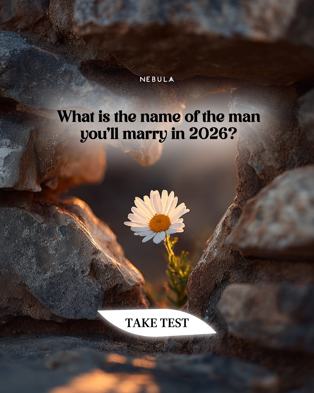 Nebula: Marriage Compatibility Facebook ad