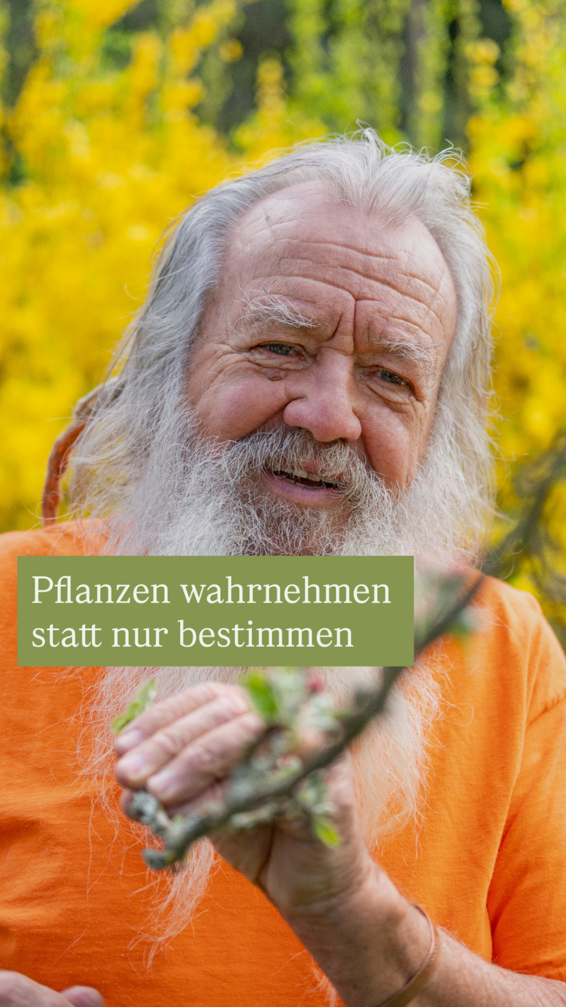 Wolf-Dieter Storl Facebook ad from Mar 2, 2026