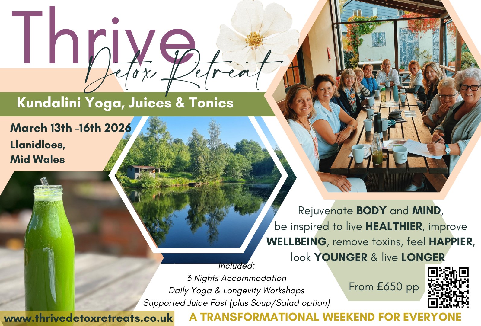 Survive to Thrive Facebook ad: THRIVE DETOX RETREAT