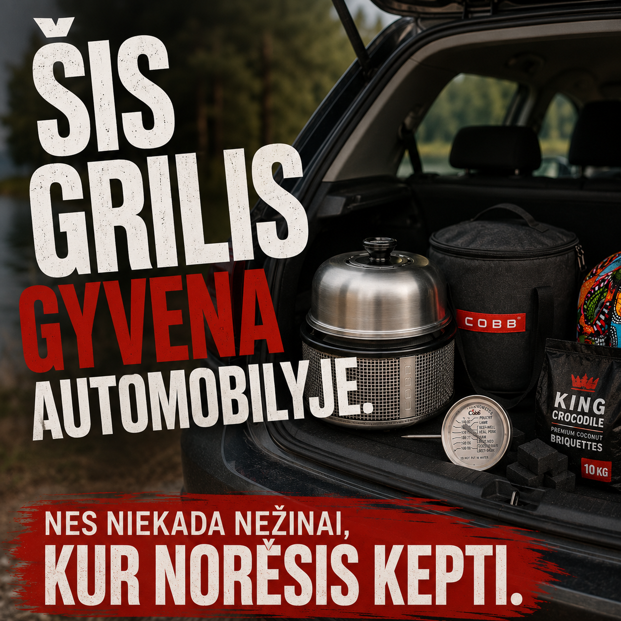 Griliai.lt Facebook ad