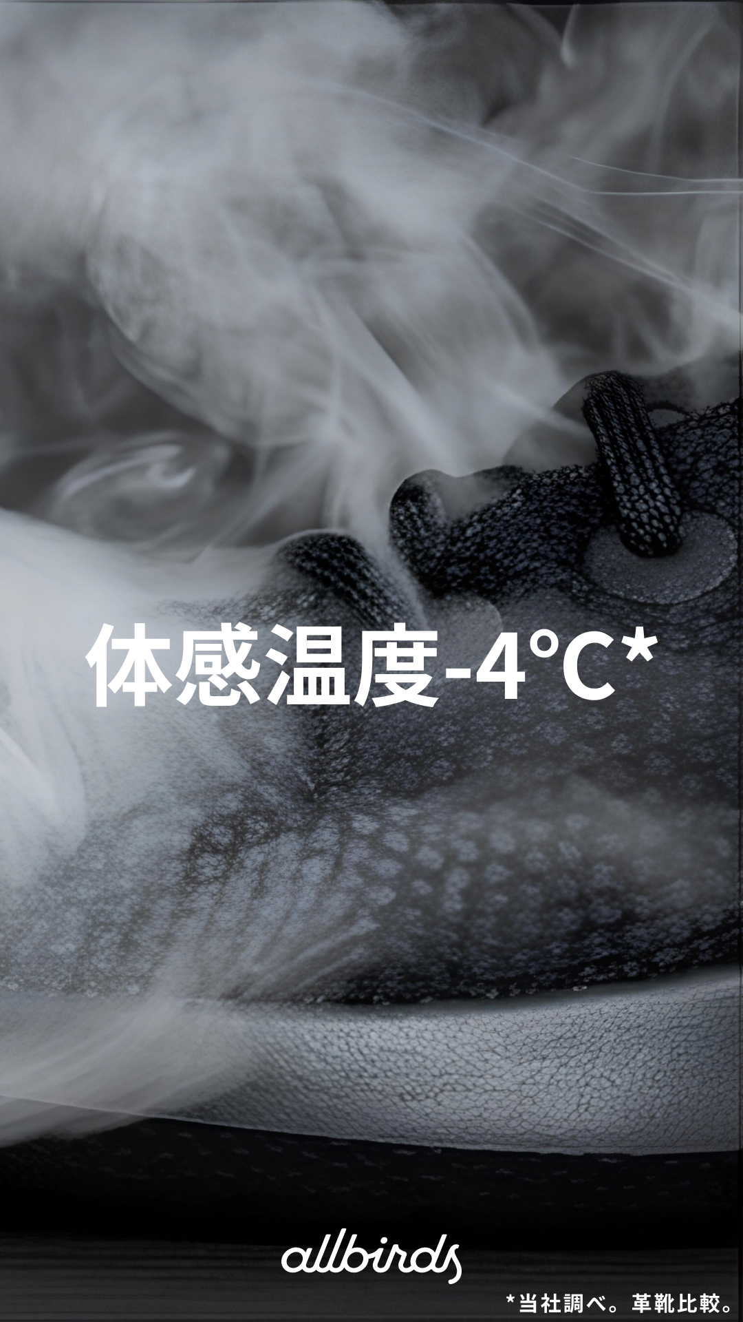 Allbirds Japan Facebook ad