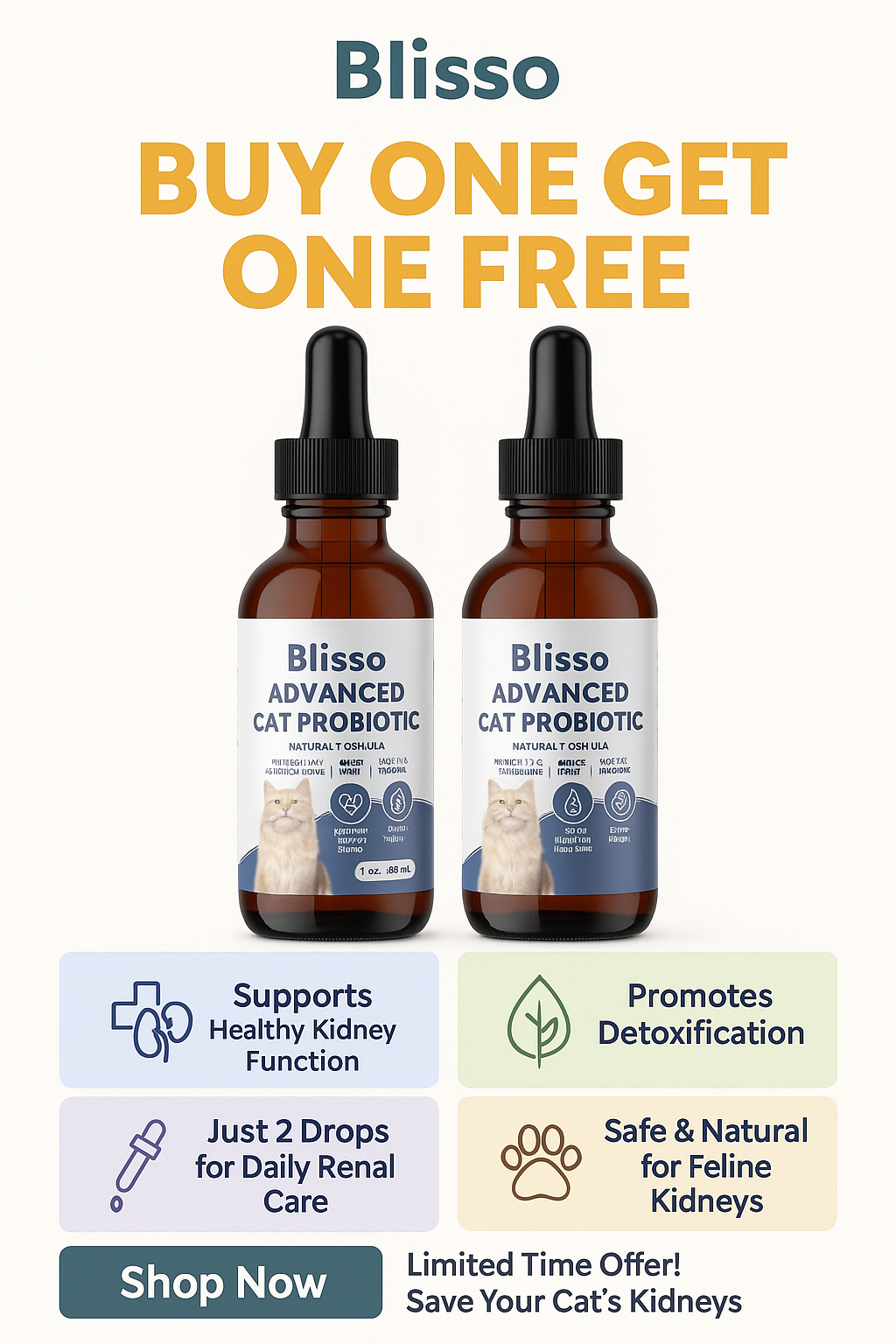 Blisso Pet Facebook ad