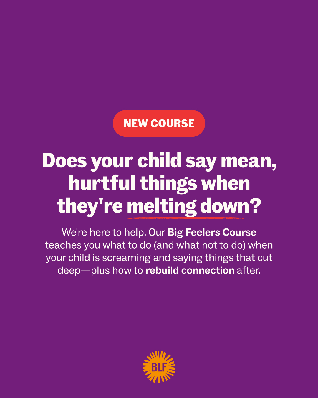 Big Little Feelings Facebook ad