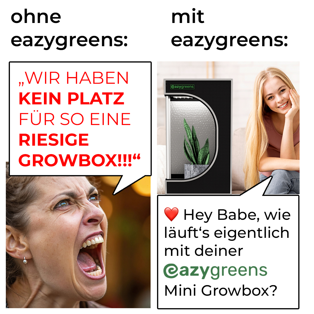 eazygreens_ Facebook ad: Dein perfektes Setup, wenn du.