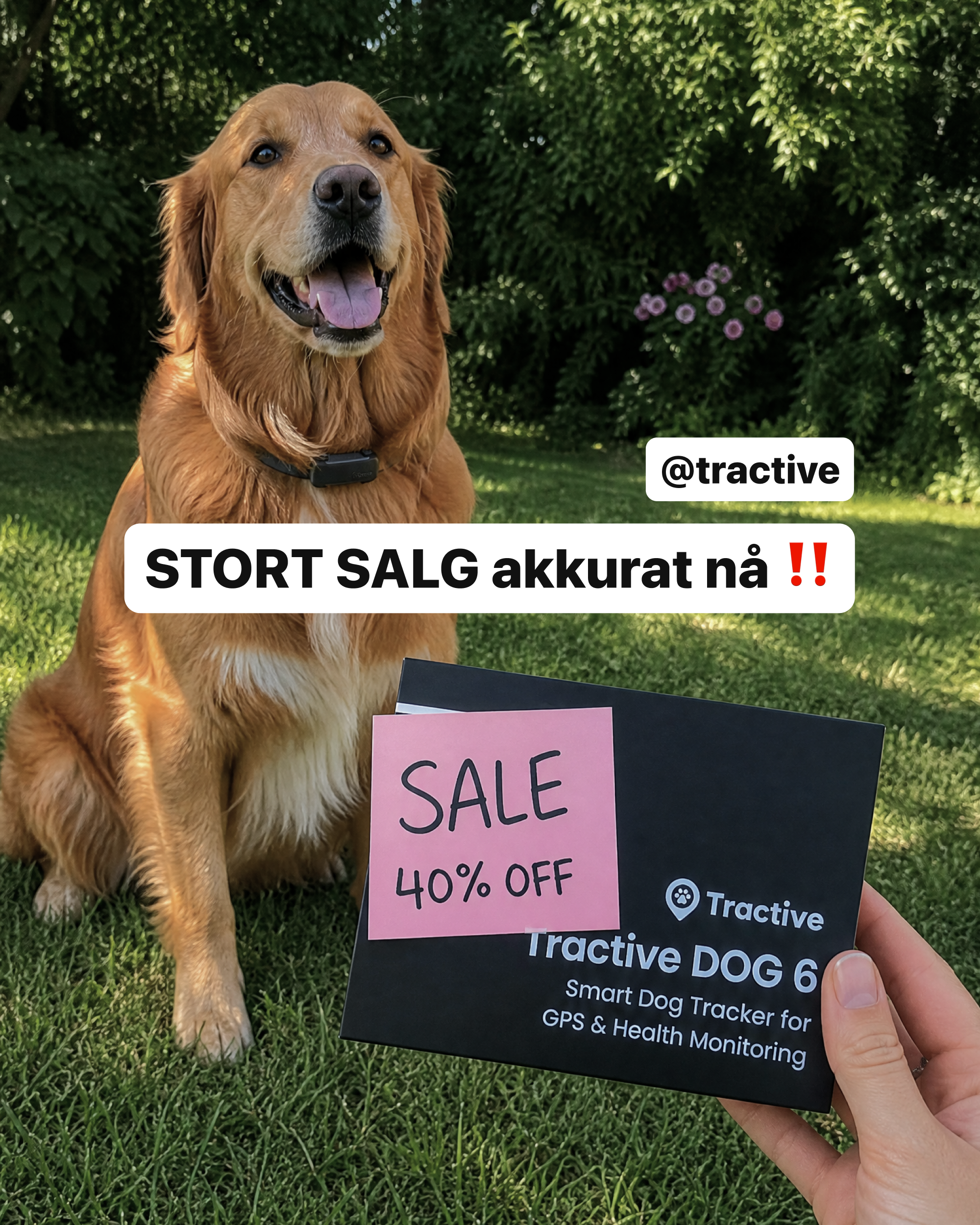 Tractive Facebook ad