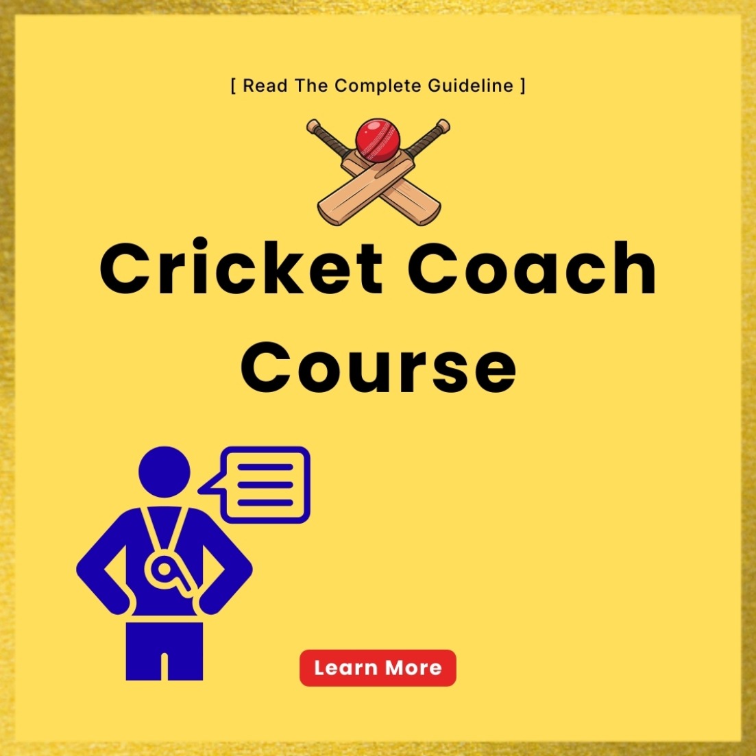 Modern Guide Facebook ad: Cricket Coach Course: An Informative Guide