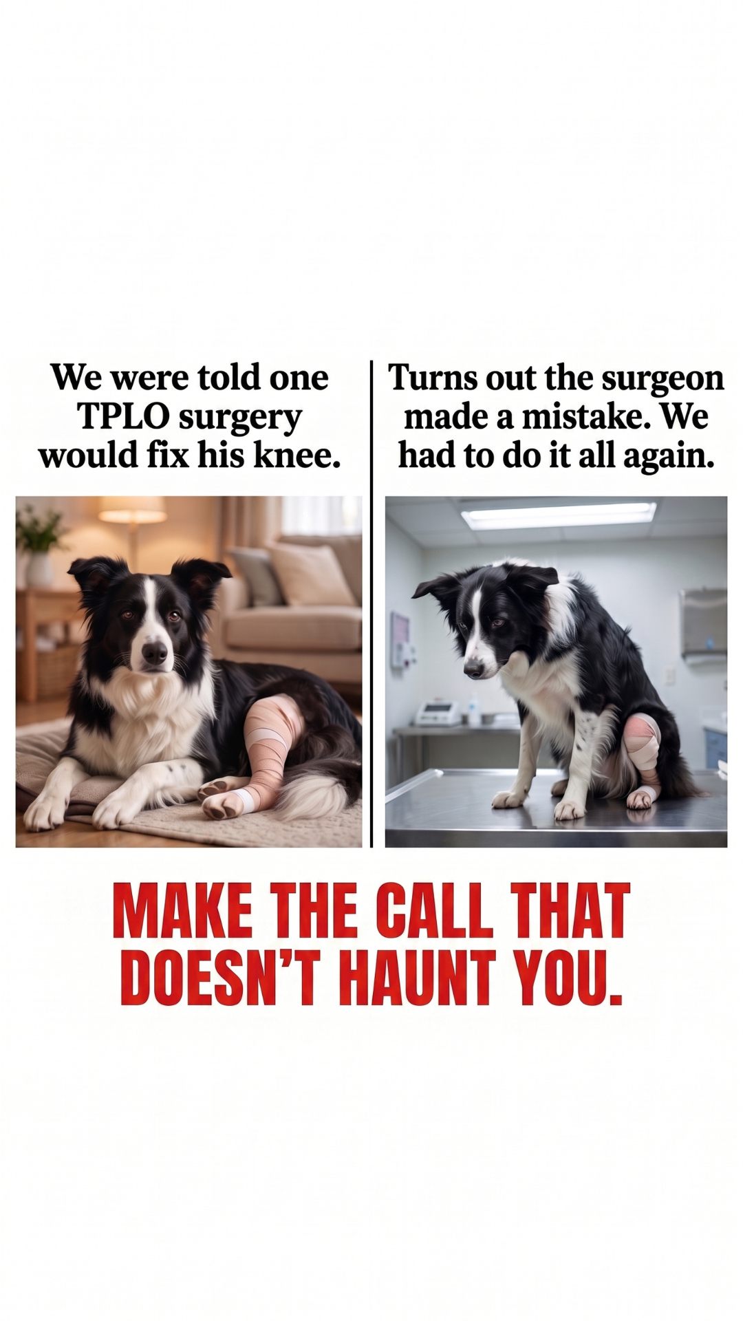 Paw Pro Vet Pets Facebook ad: His Surgery Was Supposed to Be the Fix. It Wasn't