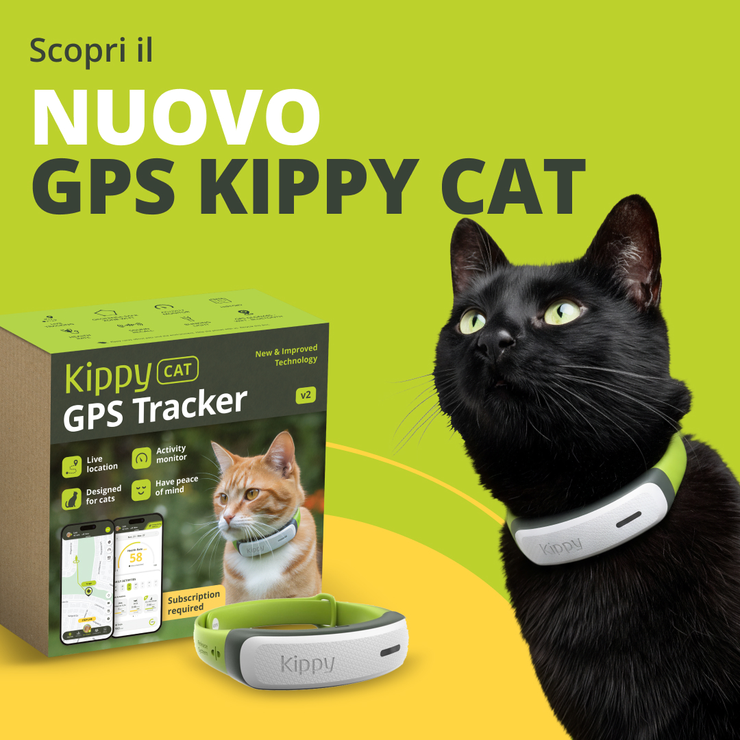 Kippy Facebook ad