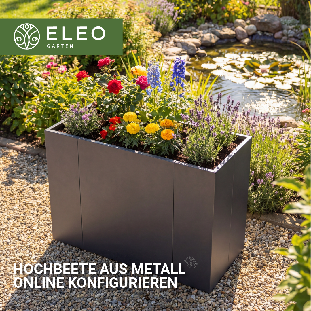 ELEO Facebook ad