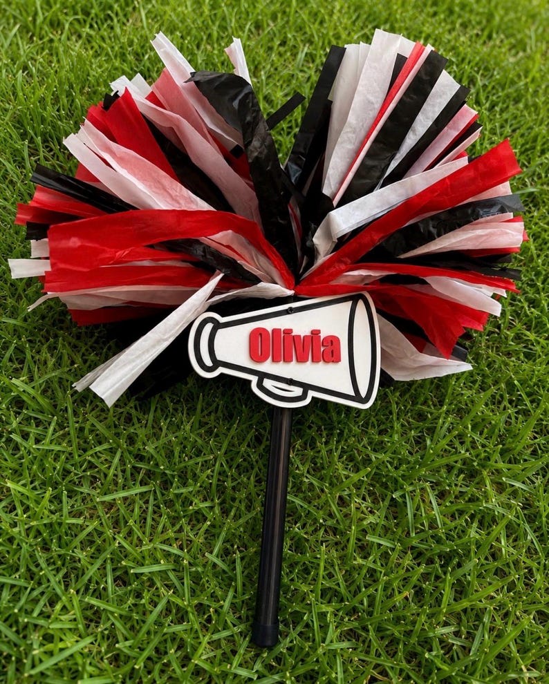 Glee Moment Facebook ad: Custom Pom Spirit Stick!